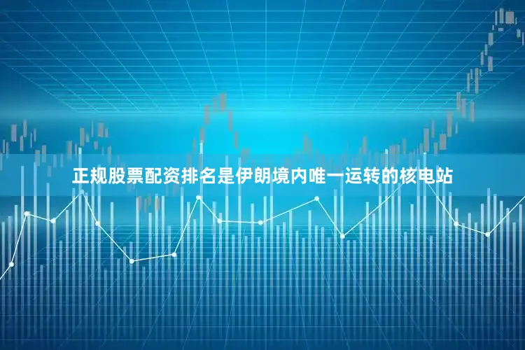正规股票配资排名是伊朗境内唯一运转的核电站