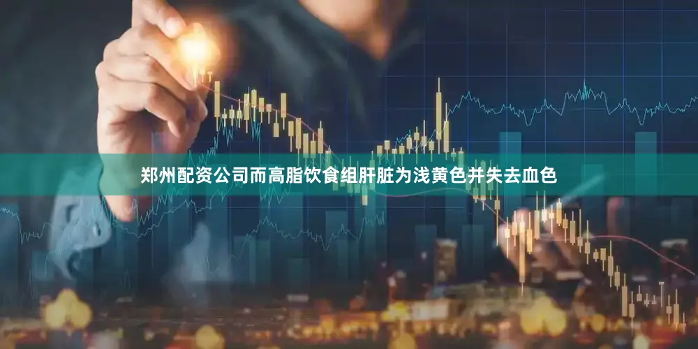 郑州配资公司而高脂饮食组肝脏为浅黄色并失去血色