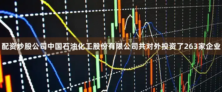 配资炒股公司中国石油化工股份有限公司共对外投资了263家企业